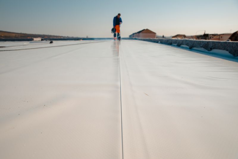 Clear Roof Coating