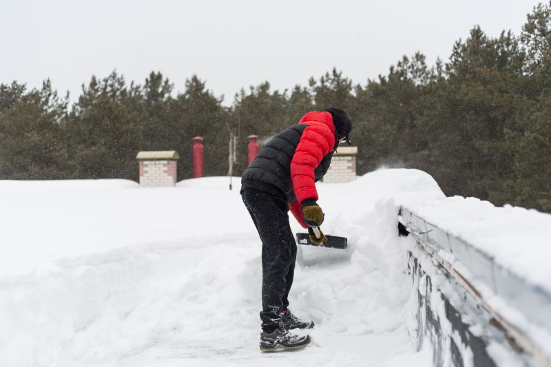 Early Summer Morning